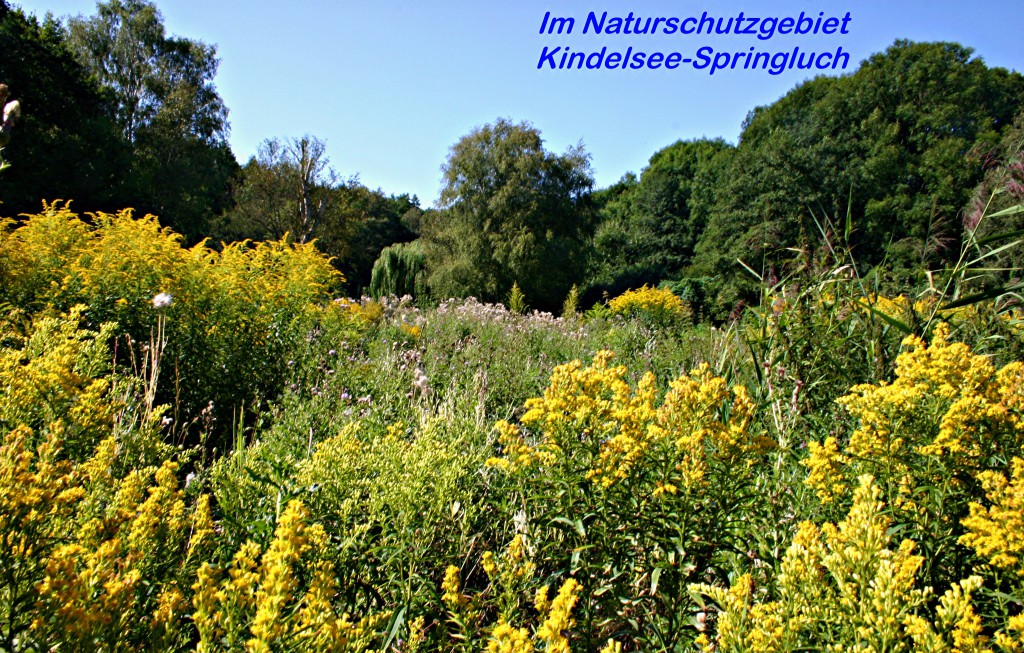 Kindelwald 2009_2 Kopie